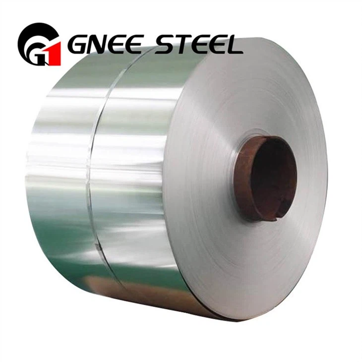 LDX 2101 Duplex SS Coil